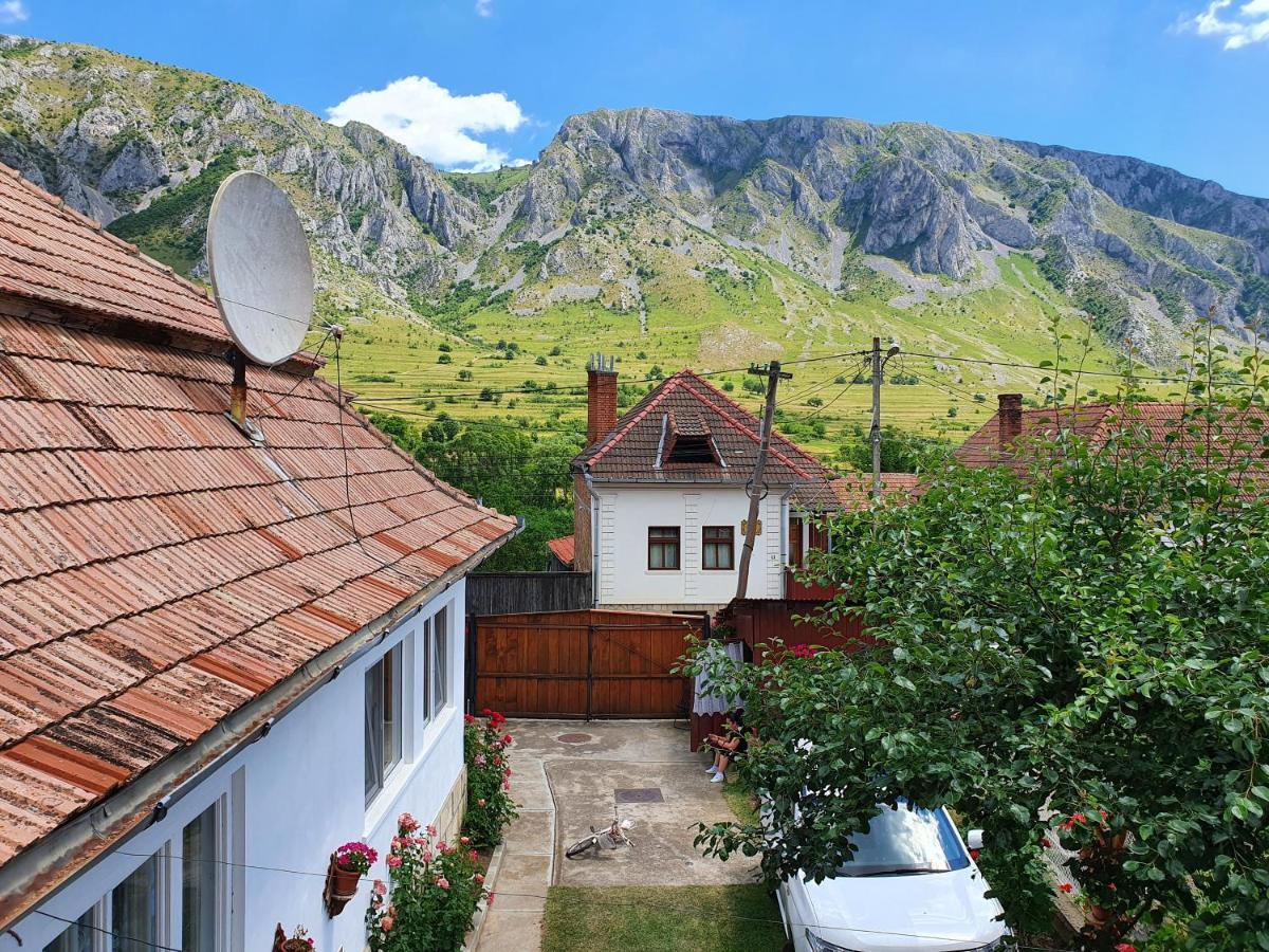 Rózsa Panzió Rimetea Exterior foto