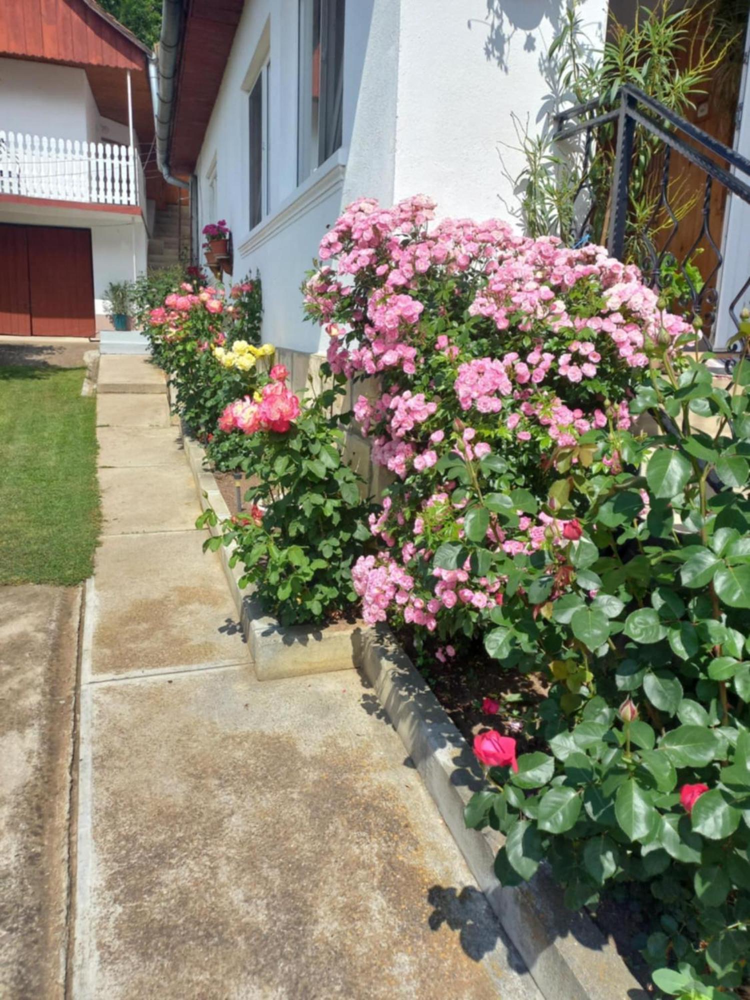 Rózsa Panzió Rimetea Exterior foto